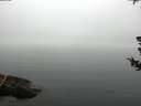 ./images/koeye/fitz-hugh/20180723/fitz-hugh20180723_075501.jpg