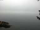 ./images/koeye/fitz-hugh/20180723/fitz-hugh20180723_080001.jpg