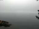 ./images/koeye/fitz-hugh/20180723/fitz-hugh20180723_080502.jpg