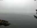 ./images/koeye/fitz-hugh/20180723/fitz-hugh20180723_081501.jpg