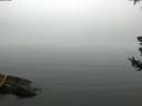 ./images/koeye/fitz-hugh/20180723/fitz-hugh20180723_082001.jpg