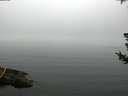 ./images/koeye/fitz-hugh/20180723/fitz-hugh20180723_082501.jpg