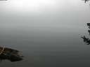 ./images/koeye/fitz-hugh/20180723/fitz-hugh20180723_083501.jpg