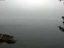 ./images/koeye/fitz-hugh/20180723/fitz-hugh20180723_084001.jpg