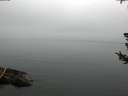 ./images/koeye/fitz-hugh/20180723/fitz-hugh20180723_084501.jpg