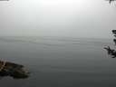 ./images/koeye/fitz-hugh/20180723/fitz-hugh20180723_085501.jpg
