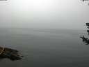 ./images/koeye/fitz-hugh/20180723/fitz-hugh20180723_090501.jpg