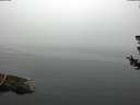 ./images/koeye/fitz-hugh/20180723/fitz-hugh20180723_091001.jpg