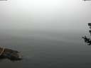 ./images/koeye/fitz-hugh/20180723/fitz-hugh20180723_091501.jpg