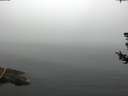 ./images/koeye/fitz-hugh/20180723/fitz-hugh20180723_092001.jpg