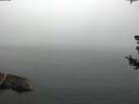 ./images/koeye/fitz-hugh/20180723/fitz-hugh20180723_092501.jpg