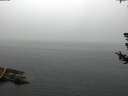 ./images/koeye/fitz-hugh/20180723/fitz-hugh20180723_094001.jpg