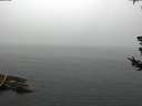 ./images/koeye/fitz-hugh/20180723/fitz-hugh20180723_094501.jpg