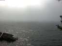 ./images/koeye/fitz-hugh/20180723/fitz-hugh20180723_160001.jpg