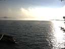 ./images/koeye/fitz-hugh/20180723/fitz-hugh20180723_185001.jpg