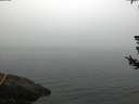 ./images/koeye/fitz-hugh/20180724/fitz-hugh20180724_062001.jpg