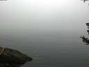 ./images/koeye/fitz-hugh/20180724/fitz-hugh20180724_065501.jpg