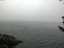 ./images/koeye/fitz-hugh/20180724/fitz-hugh20180724_074002.jpg