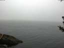 ./images/koeye/fitz-hugh/20180724/fitz-hugh20180724_075502.jpg