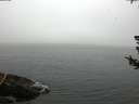 ./images/koeye/fitz-hugh/20180724/fitz-hugh20180724_080002.jpg