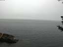 ./images/koeye/fitz-hugh/20180724/fitz-hugh20180724_084501.jpg