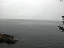 ./images/koeye/fitz-hugh/20180724/fitz-hugh20180724_090501.jpg