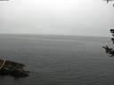 ./images/koeye/fitz-hugh/20180724/fitz-hugh20180724_091001.jpg