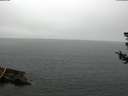 ./images/koeye/fitz-hugh/20180724/fitz-hugh20180724_095001.jpg