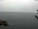 ./images/koeye/fitz-hugh/20180724/fitz-hugh20180724_100501.jpg