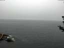 ./images/koeye/fitz-hugh/20180724/fitz-hugh20180724_104502.jpg