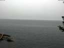 ./images/koeye/fitz-hugh/20180724/fitz-hugh20180724_105502.jpg