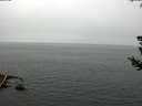 ./images/koeye/fitz-hugh/20180724/fitz-hugh20180724_115501.jpg