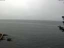 ./images/koeye/fitz-hugh/20180724/fitz-hugh20180724_124501.jpg