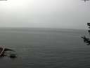 ./images/koeye/fitz-hugh/20180724/fitz-hugh20180724_125001.jpg