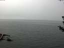 ./images/koeye/fitz-hugh/20180724/fitz-hugh20180724_125501.jpg