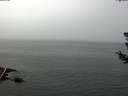 ./images/koeye/fitz-hugh/20180724/fitz-hugh20180724_130501.jpg