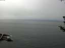 ./images/koeye/fitz-hugh/20180724/fitz-hugh20180724_134502.jpg