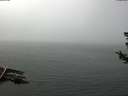 ./images/koeye/fitz-hugh/20180724/fitz-hugh20180724_140002.jpg