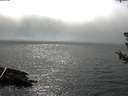 ./images/koeye/fitz-hugh/20180724/fitz-hugh20180724_162502.jpg
