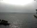 ./images/koeye/fitz-hugh/20180724/fitz-hugh20180724_163502.jpg
