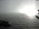 ./images/koeye/fitz-hugh/20180724/fitz-hugh20180724_181501.jpg
