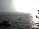 ./images/koeye/fitz-hugh/20180724/fitz-hugh20180724_185501.jpg