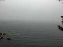./images/koeye/fitz-hugh/20180724/fitz-hugh20180724_214001.jpg
