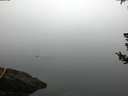 ./images/koeye/fitz-hugh/20180725/fitz-hugh20180725_054501.jpg