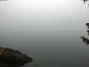 ./images/koeye/fitz-hugh/20180725/fitz-hugh20180725_055501.jpg