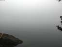 ./images/koeye/fitz-hugh/20180725/fitz-hugh20180725_060501.jpg