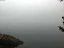 ./images/koeye/fitz-hugh/20180725/fitz-hugh20180725_061001.jpg