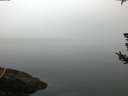 ./images/koeye/fitz-hugh/20180725/fitz-hugh20180725_061501.jpg