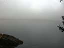 ./images/koeye/fitz-hugh/20180725/fitz-hugh20180725_062501.jpg