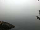 ./images/koeye/fitz-hugh/20180725/fitz-hugh20180725_064502.jpg